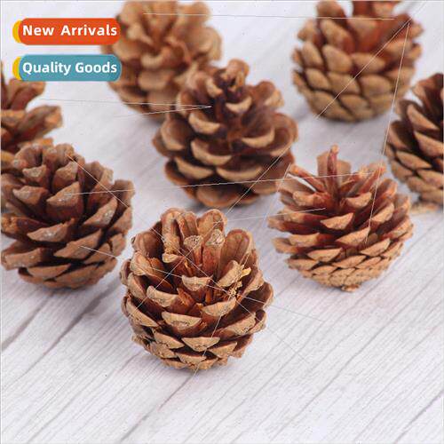 2023 new natural primary color pine cone Christmas decoratio