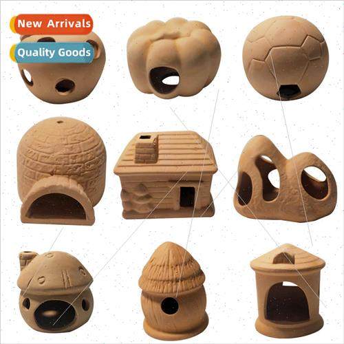 Small fish hiding shrimp house shrimp nest snapper alien cra