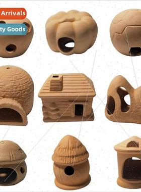 Small fish hiding shrimp house shrimp nest snapper alien cra