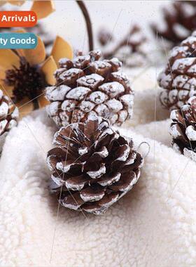 New Christmas decorations white edge natural real pine cones