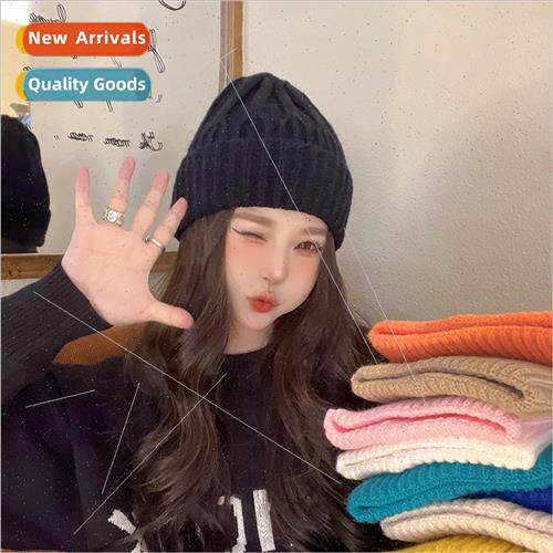 Hat female autumn and winter solid color warm wool cap show