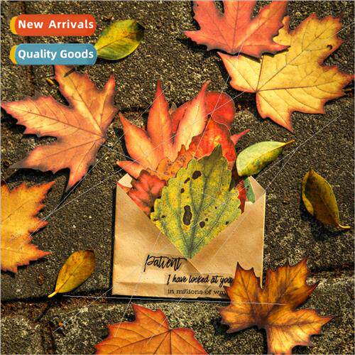 Material Paper Autumn Leaf Flower Letter Series Retro mulati
