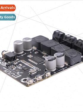New TPA3118 Chip Class D 45W Digital Bluetooth 5.0 Audiophil