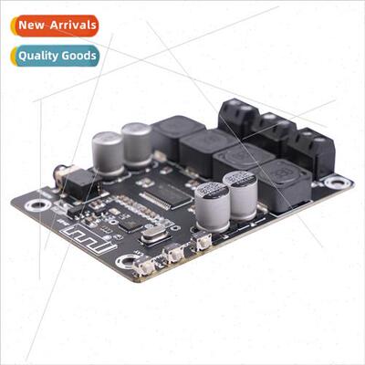 New TPA3118 Chip Class D 45W Digital Bluetooth 5.0 Audiophil
