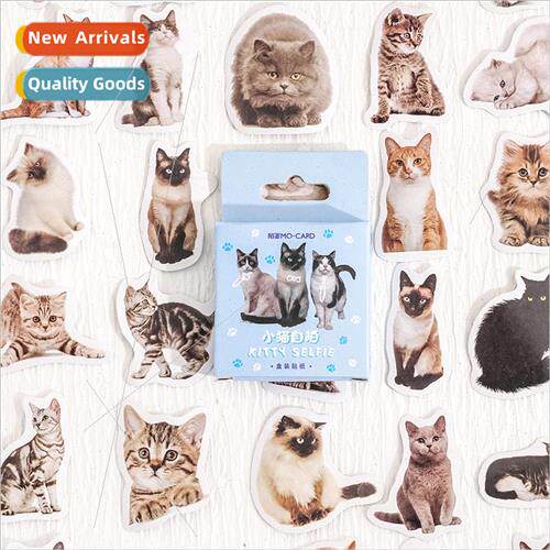 Kitten selfie boxed stickers cartoon cute cat diy handbook c