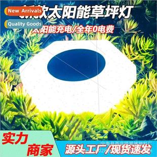 Outdoor Decorative Waterproof Solar ghts Plug Ground Lawn