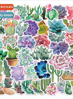 50 cartoon succulent cactus plant graffiti stickers luggage