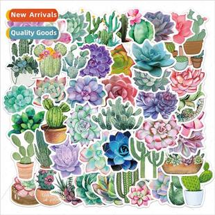 50 cartoon succulent cactus plant graffiti stickers luggage