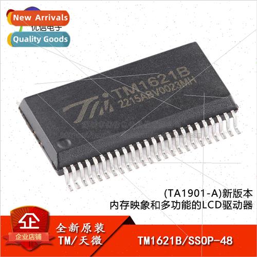 al TM1621B New Version SSOP-48 Memory Image and Multifunctio