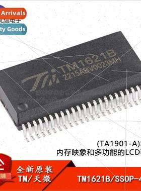 al TM1621B New Version SSOP-48 Memory Image and Multifunctio
