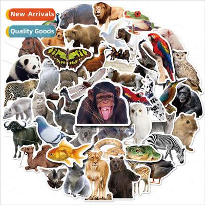 50 pcs of zoo childrens literacy puzzle stickers orangutan t