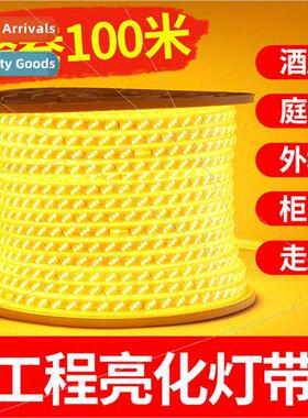 100 meters golden yellow light led strip light project light