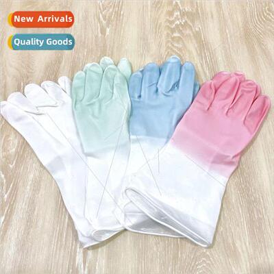 Doing housework cleaning kitchen washing dishes dishwashing