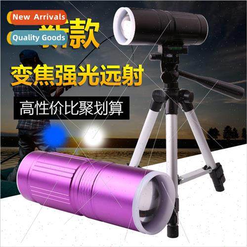 2021 Screenless Cheap ght Fishing ght Dual ght Source 10W Bl