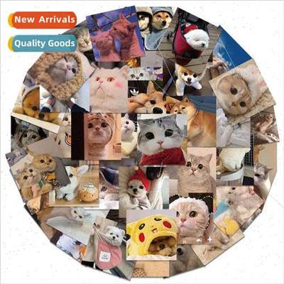 48 pcs of cute pet cats and dogs Catdog expression package c