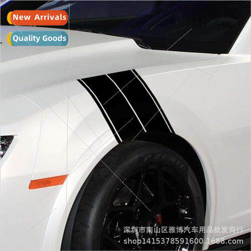 D-360 Car Truck Buggy Fender Stripes Racing Graphics Sticker