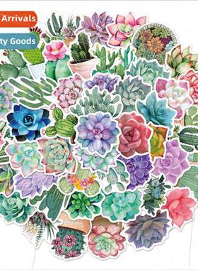 50 pcs of succulent cactus plant graffiti stickers decorativ
