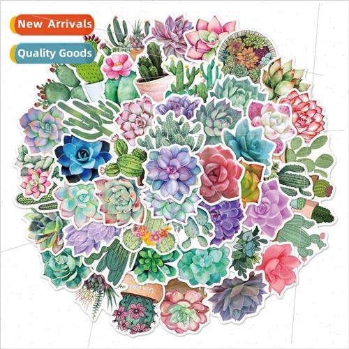 50 pcs of succulent cactus plant graffiti stickers decorativ