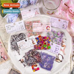 ins Dodo pet color high series 适用est Flower pack Sticker