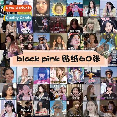 60 black pink pink ink expression pack stickers lisa kim ji