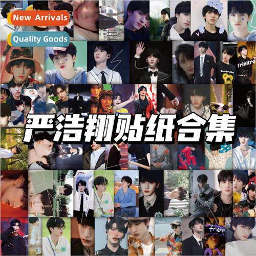 60 pcs of Yan Haoxiang handbook stickers TNT era teenage gro