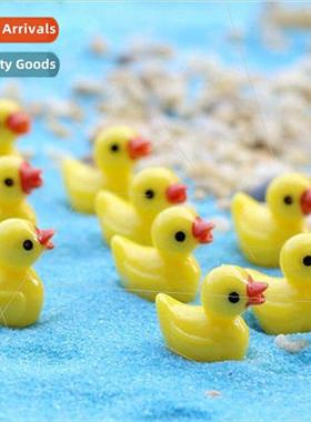 Creative aquascape duck doll eco-bottle cute mini plastic du