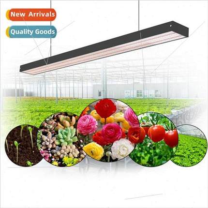New Full Spectrum LED Plant Grow ght Full Band Quantum Board