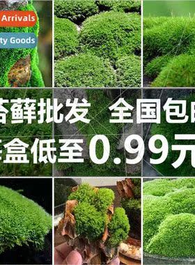 Green wall simulation plant lawn wall decoration bionic arti