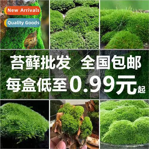 Green wall simulation plant lawn wall decoration bionic arti