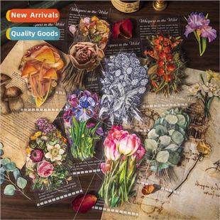 PET sticker wild beautiful secr original day pack material