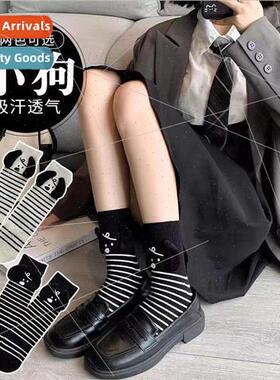 Spring and Autumn new cartoon striped puppy socks female mid