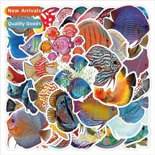 fish fairy stickers sea decorativ creatures colorful
