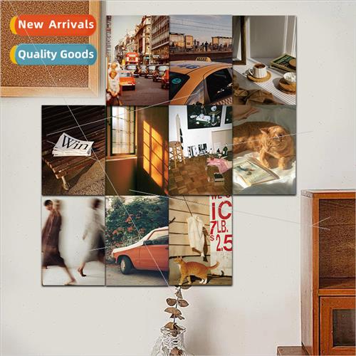 Twilight Lynn 10 Love fe Inspirational Decorative Cards Wall