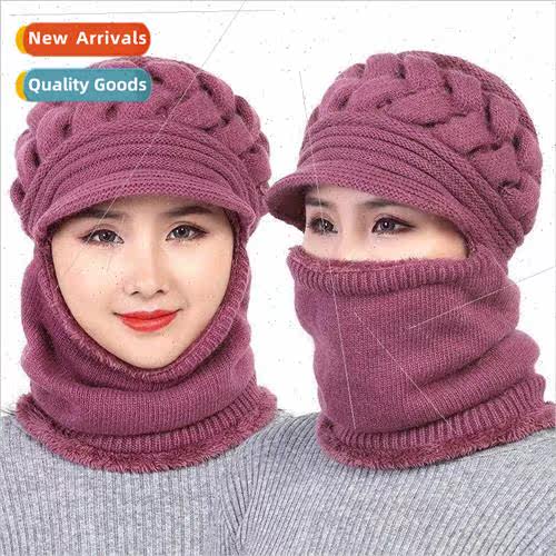 Winter twisted knitted hat female padded wool cap versatile