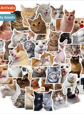 Spit out tongue series sell cute hakimi cute cat 50 personal