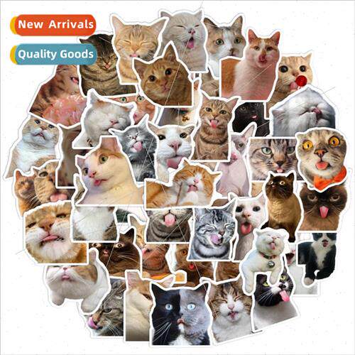 Spit out tongue series sell cute hakimi cute cat 50 personal