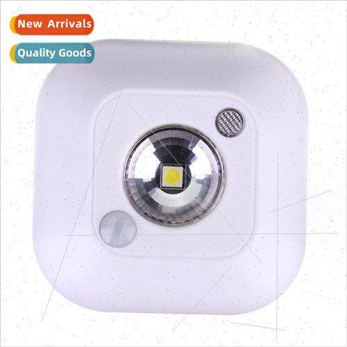 Sensor light night light 1LED dual sensor light control ener