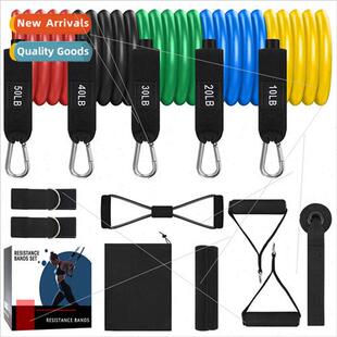 150 Pound Latex Tube Set Double Stch Rope 13 Piece Tensioner