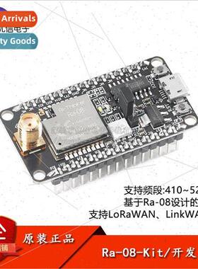 Ra-08-Kit LoRaWAN RF Module Development Board w/ -contained