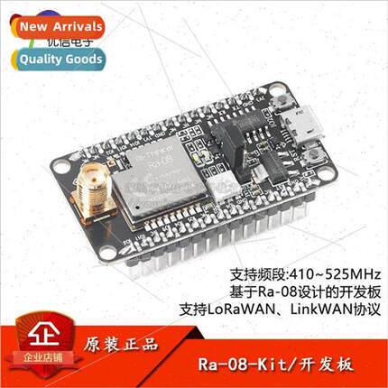 Ra-08-Kit LoRaWAN RF Module Development Board w/ -contained