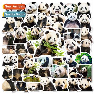 50 panda realistic stickers cute pandas flower emoticon stic