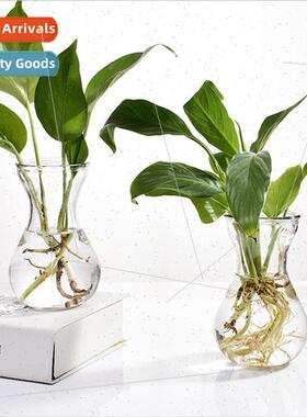 Glass Vase Transparent Hyacinthus Seedpod Flower Pot ving Ro