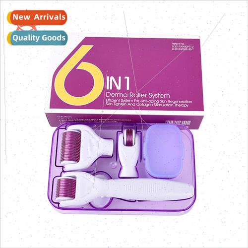 6-in-1 Roller Microneedle Face Care Beauty Kit 6-in-1 Micron
