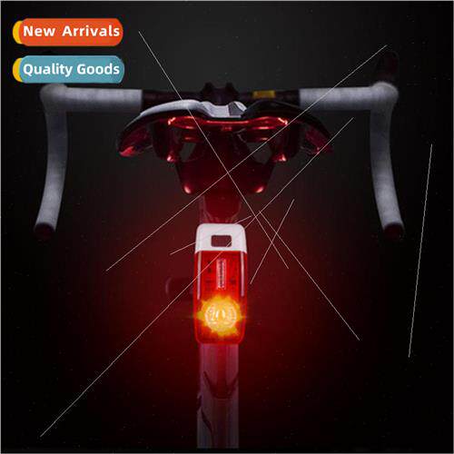 High Bright Waterproof USB Rechargeable Bicycle Tail ght Rec