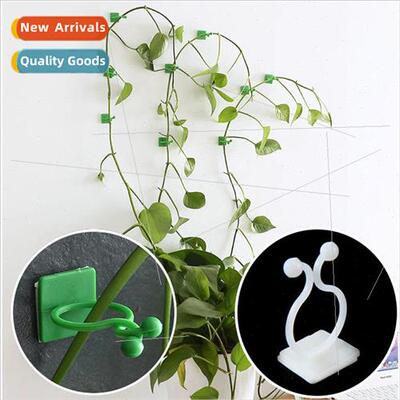 Green climbing wall hooks green fixing vine fixing clip clim
