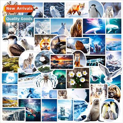 50 pcs of North and  Polar Landscape Stickers new penguins s