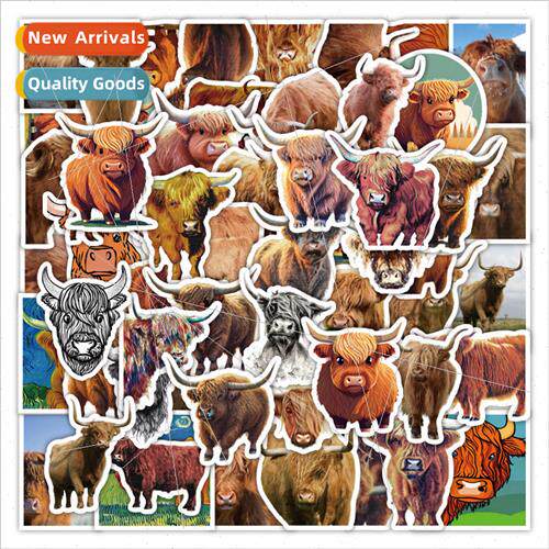 50 Highland Cow Stickers Cute Cow World Non-mainsam Decorati