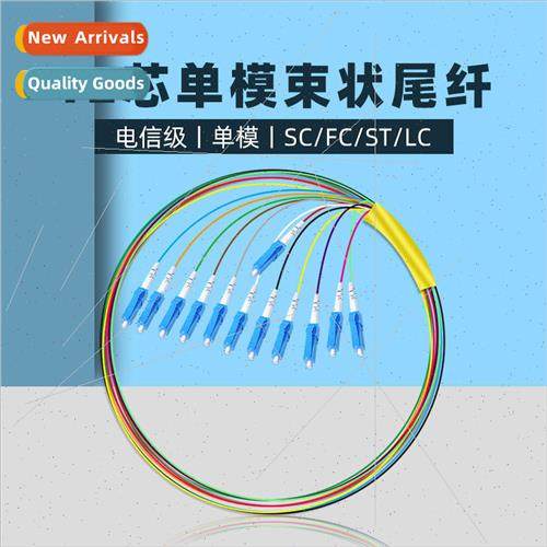 SC/ST/FC/LC/UPC nglemode Pigtail Patch Cord 12 cores 0.9 bun