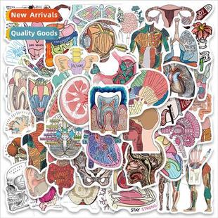 deprogramming cartoon human graffiti organs sticke pcs