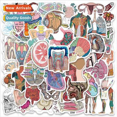 50 pcs of deprogramming cartoon human organs graffiti sticke